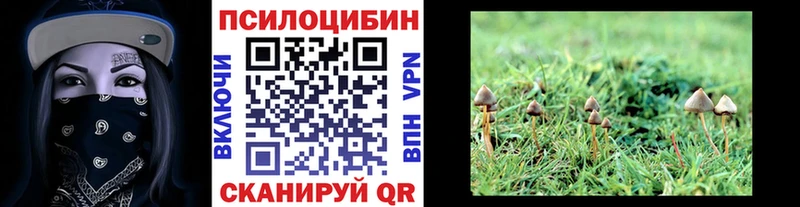 Галлюциногенные грибы прущие грибы  купить наркотик  Островной 